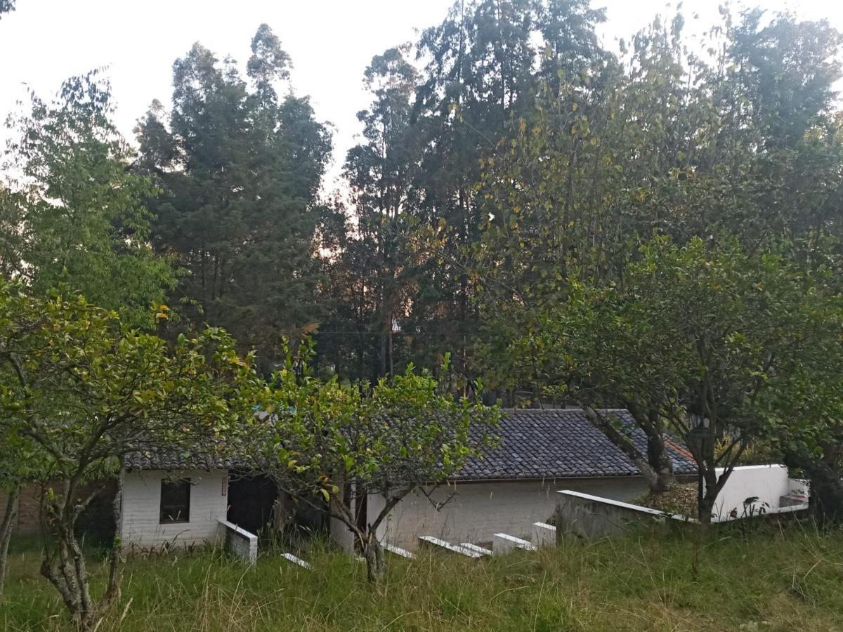 Quinta Los Eucaliptos Hotel Quito Kültér fotó